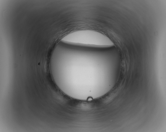 X0000112040416200908031046