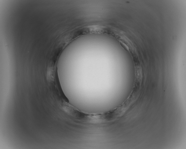 X0000112040419200908031046