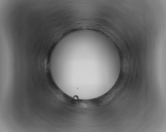 X0000112040420200908031046