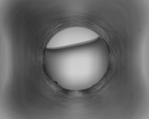 X0000112040421200908031046
