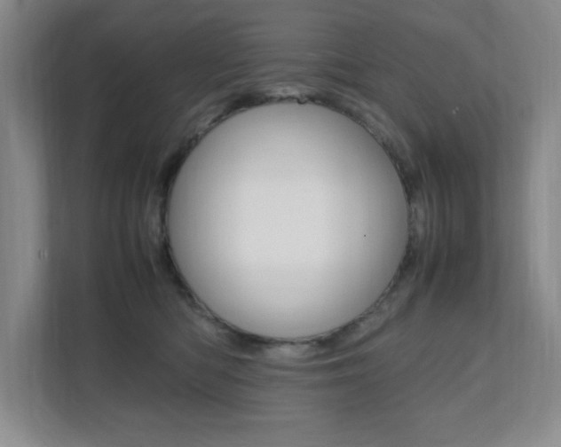 X0000112040422200908031046