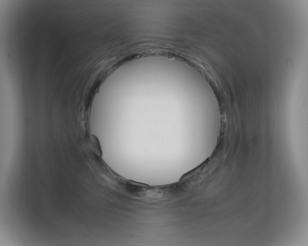 X0000112040423200908031046