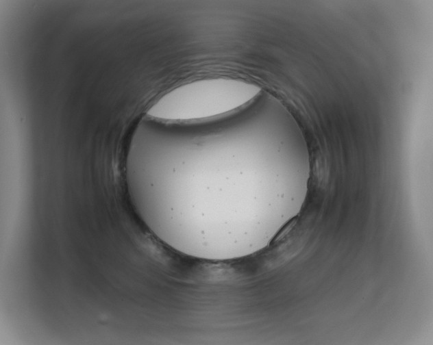 X0000112040424200908031046