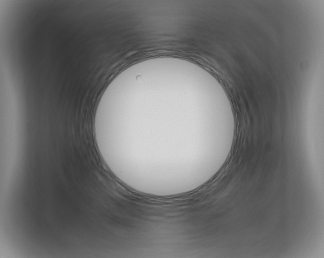 X0000112040425200908031046