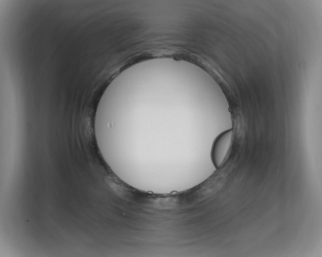 X0000112040426200908031046