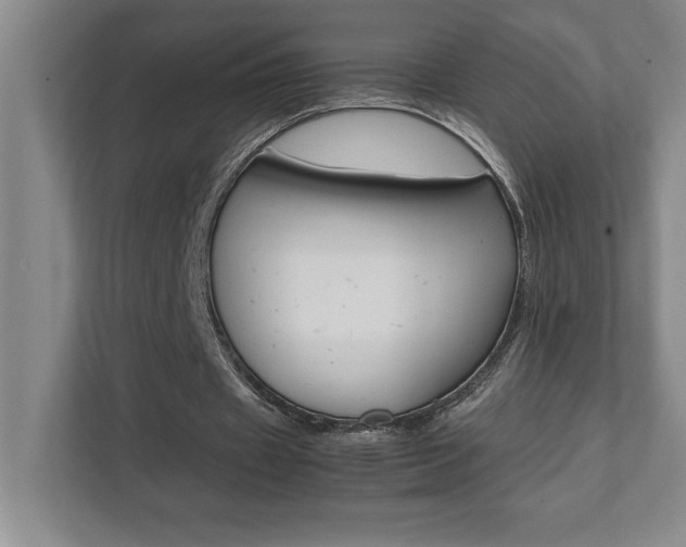 X0000112040433200908031045