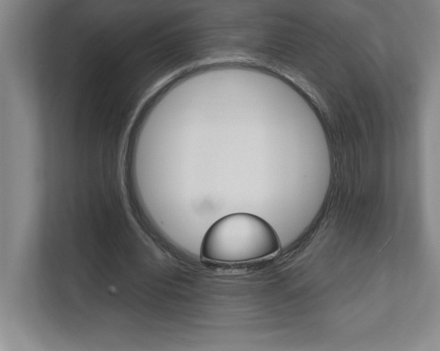 X0000112040440200908031045