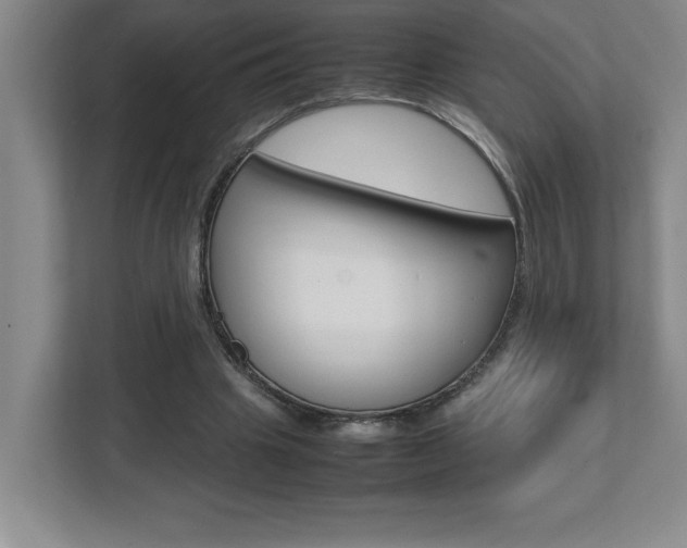 X0000112040441200908031045