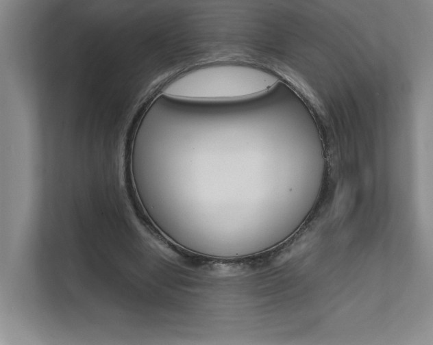X0000112040442200908031045