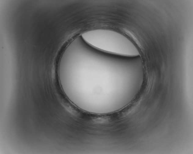 X0000112040447200908031045
