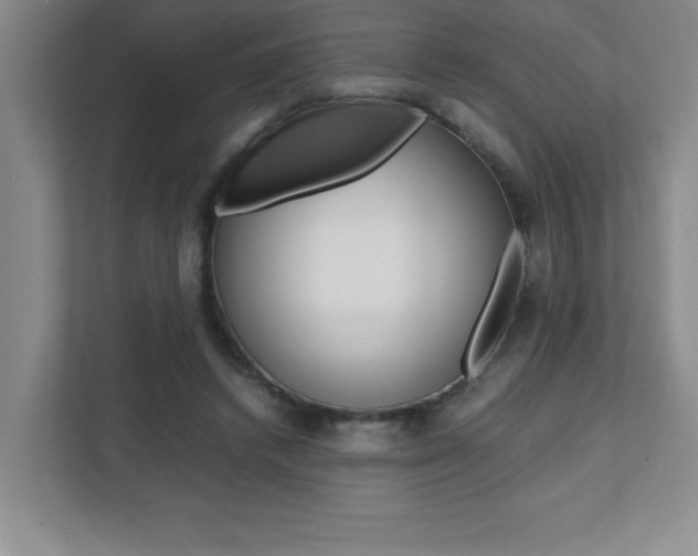 X0000112040448200908031045