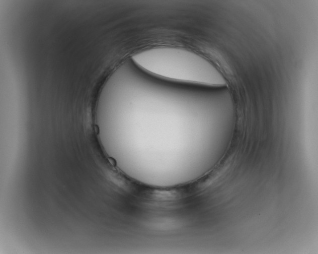 X0000112040457200908031045