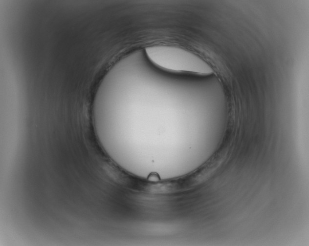 X0000112040461200908031045