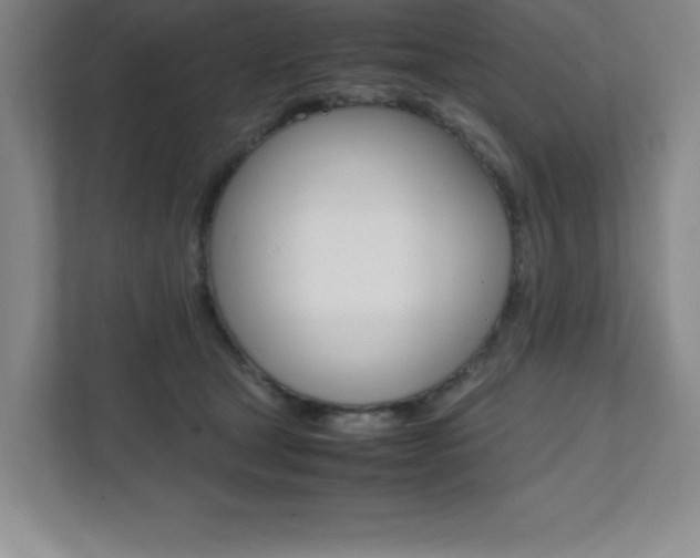 X0000112040465200908031046