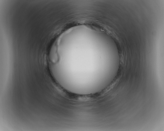 X0000112040470200908031046