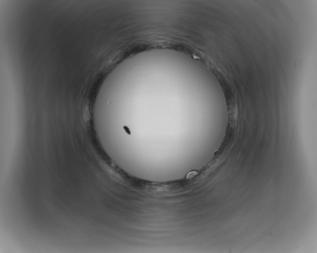 X0000112040472200908031046