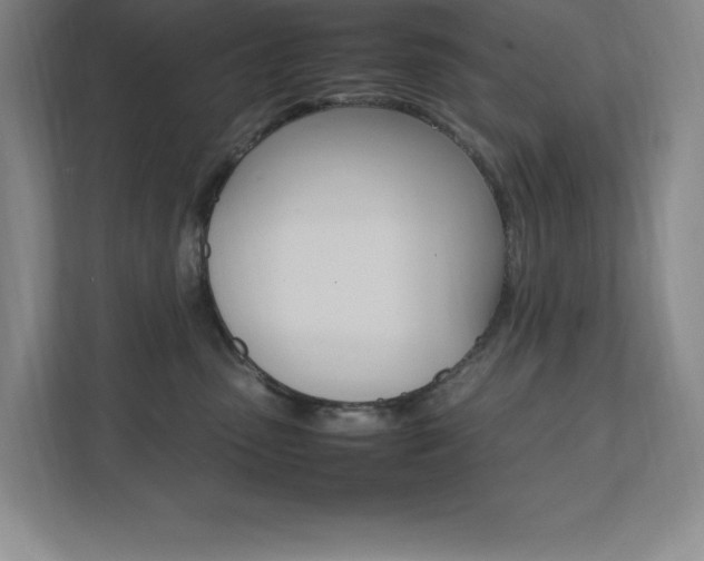 X0000112040475200908031046