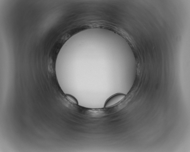X0000112040477200908031046
