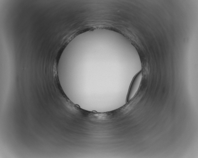 X0000112040478200908031046