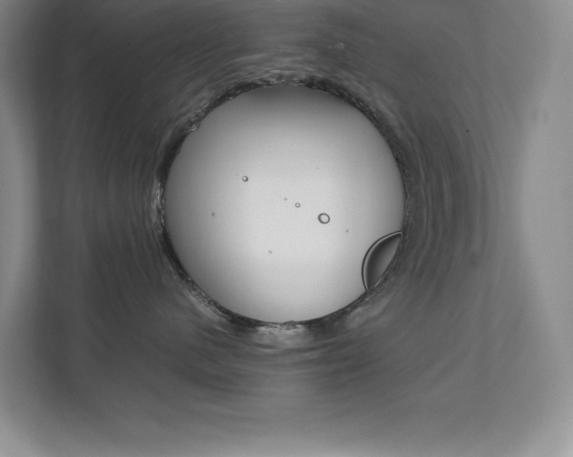 X0000112040480200908031046