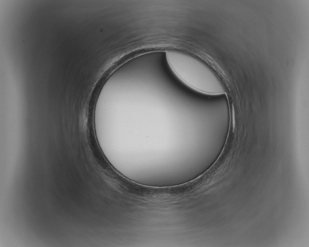 X0000112040483200908031045
