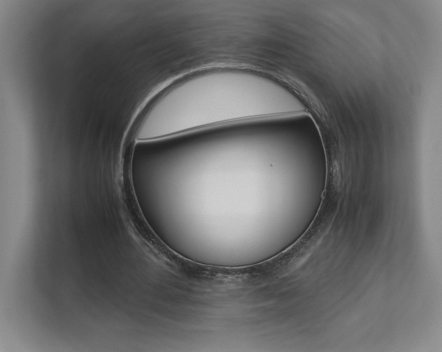 X0000112040484200908031045