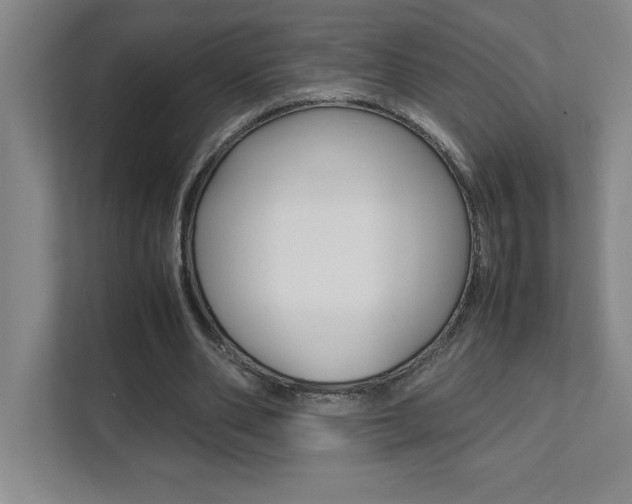 X0000112040486200908031045