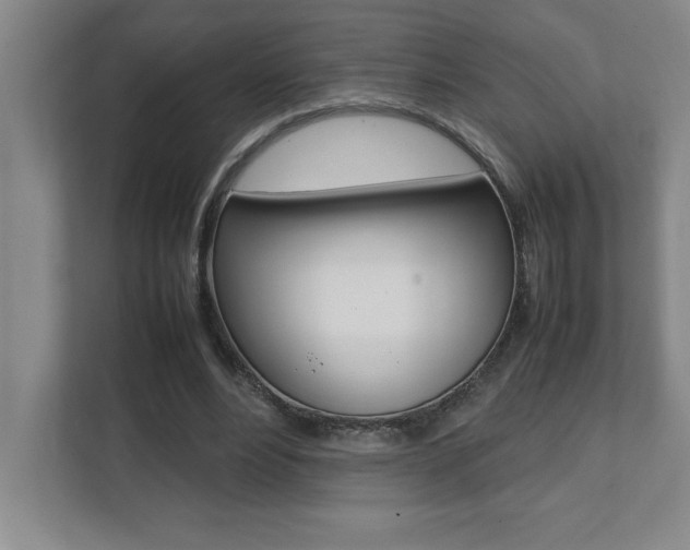X0000112040488200908031045
