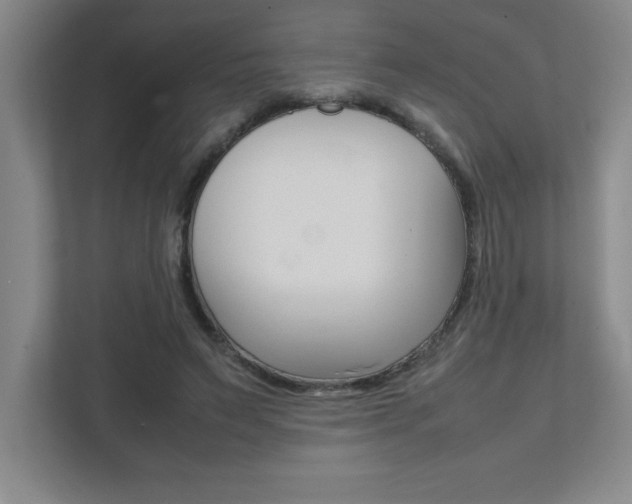 X0000112040495200908031045
