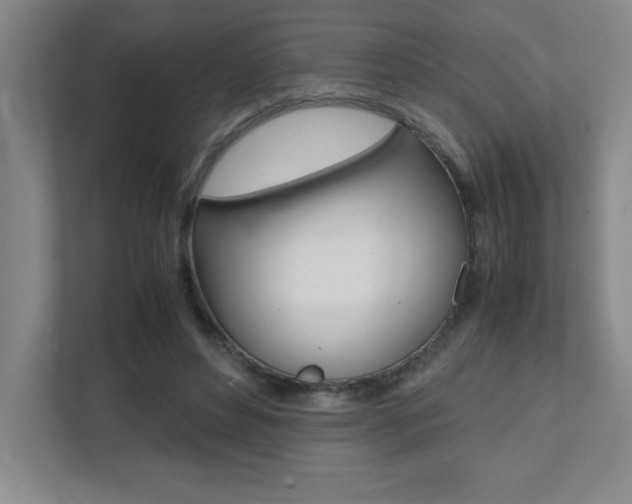 X0000112040496200908031045
