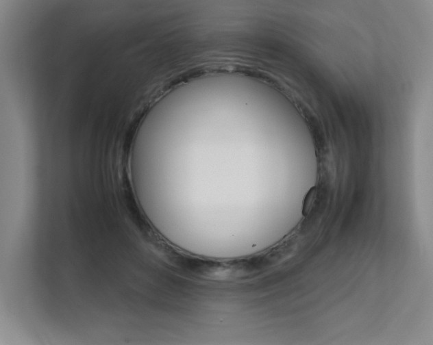 X0000112040504200908031045