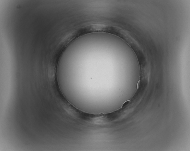 X0000112040505200908031045