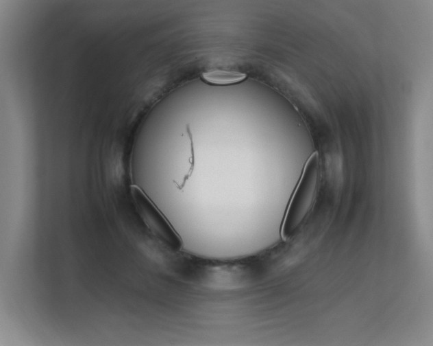 X0000112040508200908031045