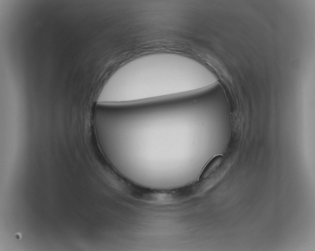 X0000112040509200908031045
