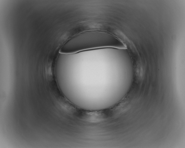 X0000112040516200908031045
