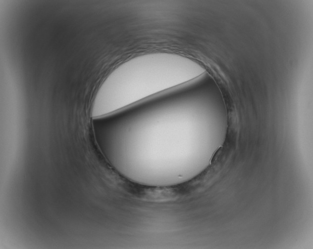 X0000112040517200908031045