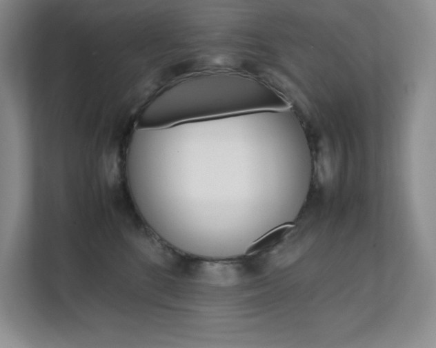X0000112040520200908031045