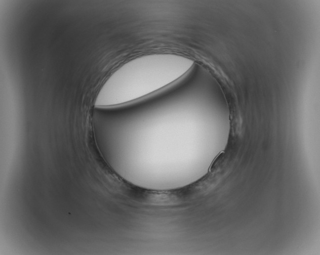 X0000112040521200908031045