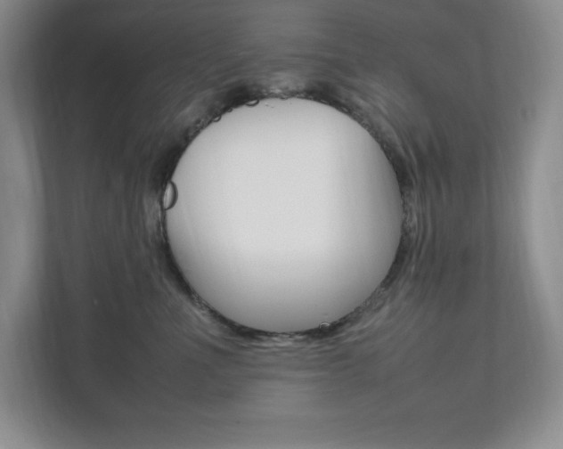 X0000112040523200908031045