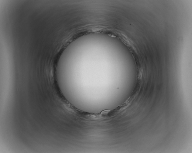 X0000112040524200908031045