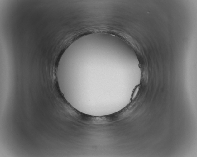 X0000112040525200908031045