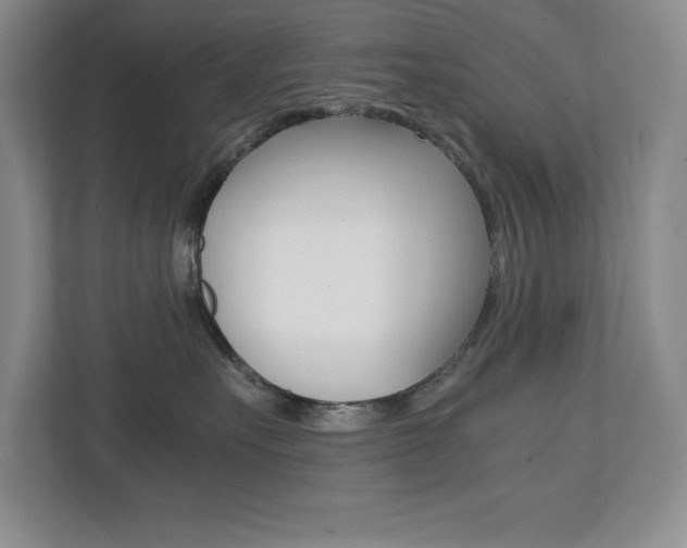 X0000112040527200908031045