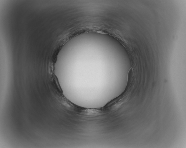 X0000112040528200908031044