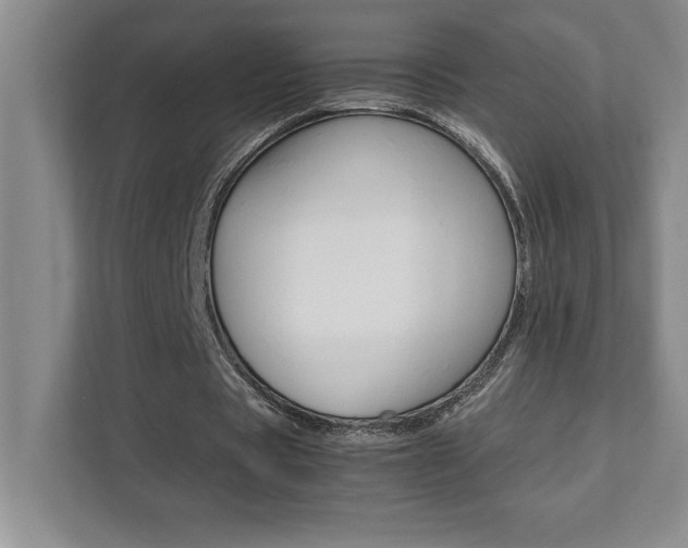 X0000112040529200908031044