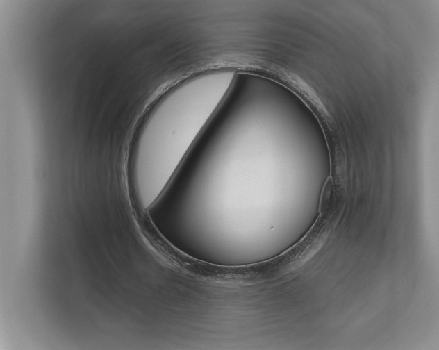 X0000112040530200908031044
