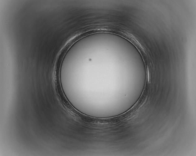 X0000112040531200908031044