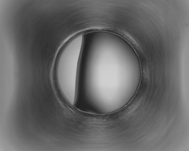 X0000112040532200908031044