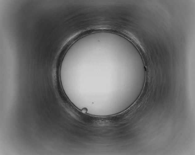 X0000112040535200908031044