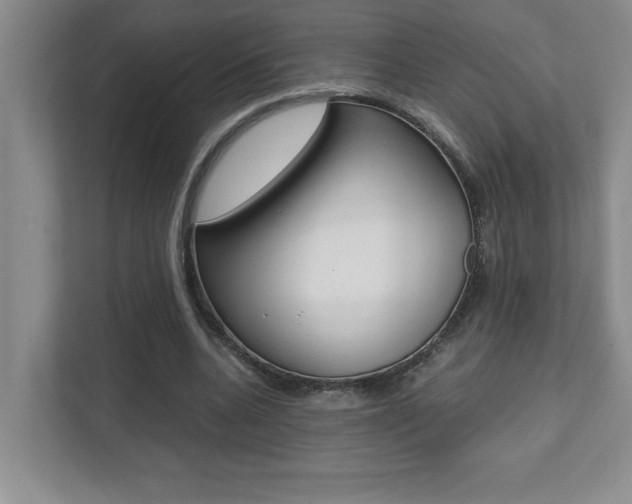 X0000112040536200908031044