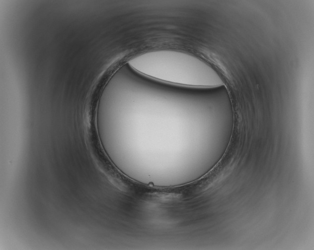X0000112040539200908031044